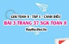 Giải bài 3 trang 37 Toán 8 Tập 1 SGK Cánh Diều